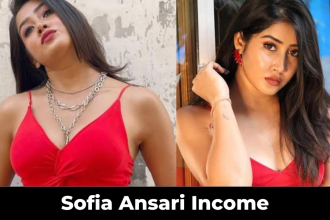 Sofia Ansari Income